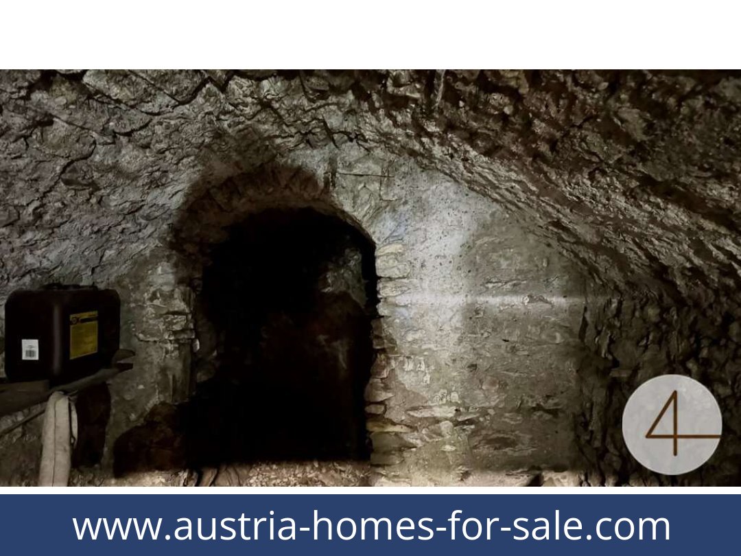 austria-homes-for-sale-drosendorf stadt-2095-20260118114800-0058801010.jpg